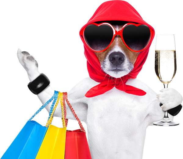 Jack Russell Terrier with Red Head Dress and Sunglasses Holding Wine Glass and Shopping Bags